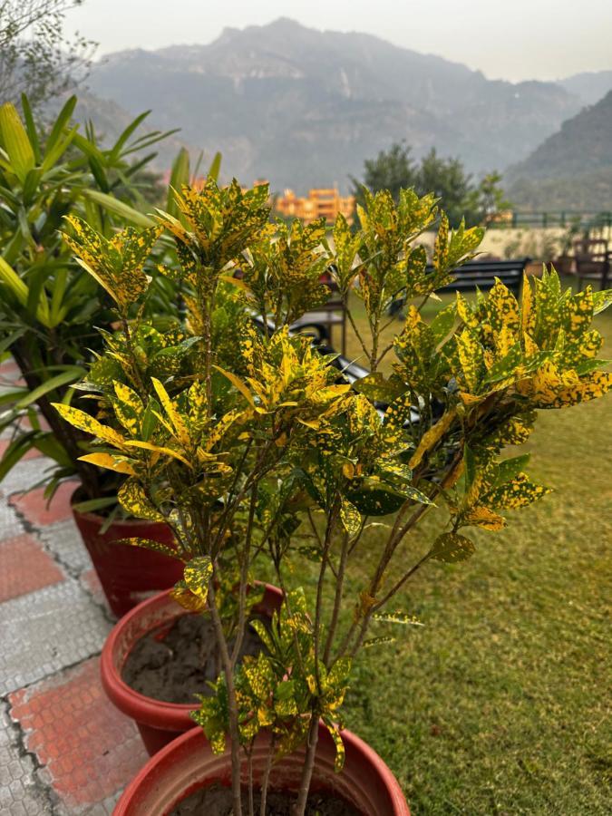 Hotel Dewa Retreat- A Himalayan Boutique Hotel Rishikesh Bagian luar foto