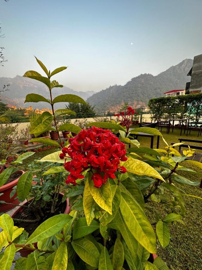 Hotel Dewa Retreat- A Himalayan Boutique Hotel Rishikesh Bagian luar foto
